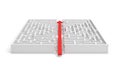 3d rendering of a white square maze in side view divided in half by a red arrow line. Royalty Free Stock Photo