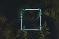 3d rendering of white square neon light with tropical leaves.. Flat lay of minimal nature style concept