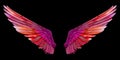 3D Rendering of Widely Spread Fantasy Wings on Black