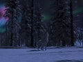Wild alaskan tundra wolf is howling Royalty Free Stock Photo