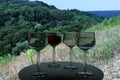 3D rendering of wine glasses and a real world picture of trees on a sunny day