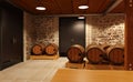 3D Rendering Wine Hall