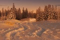 winter landscape with snow trails in the evening sunlight Royalty Free Stock Photo