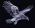 3d rendering wireframe polygonal eagle flying. Generative AI.