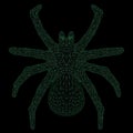 Wireframe polygonal tarantula