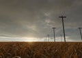 3D rendering of withered corn field next to utility poles