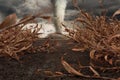 3d Rendering of withered cornfield in front of dramatic sky and tornado. Selective focus