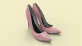 3D rendering of womans shoes high heels female shoe pair isolated