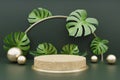 3d rendering of wood podium for product display with monstera leaves