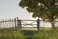 3d rendering of wooden fence and green meadow next to a maple tree Royalty Free Stock Photo