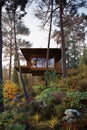 3D Rendering wooden house treehouse in woods morning