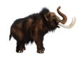 3D Rendering Woolly Mammoth on White