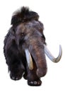 3D Rendering Woolly Mammoth on White