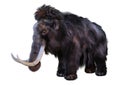 3D Rendering Woolly Mammoth on White