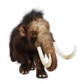 3D Rendering Woolly Mammoth on White