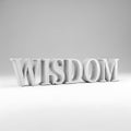 3D Wisdom Word Royalty Free Stock Photo