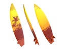 3D Rendering Yellow And Brown Surfboard With Palm Trees Isolated On White Background, PNG File Add - Transparent Background Royalty Free Stock Photo