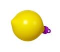 3d rendering yellow Christmas ball icon in form of lemon. Realistic element for winter holidays. Toy for fir tree