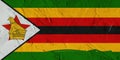3D Rendering of Zimbabwe flag with crocodile on African wall.