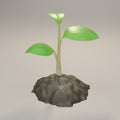 3D renders Young plants on the soil. Plant sapling on white background. Eco, earth day, Forest conservation concept. 3d rendering