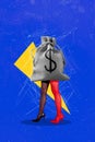3d retro abstract creative artwork template collage of female legs walk dollar money sack instead body weird freak