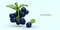 3D ripe bilberries on green stick. Dark blue sweet berries in clusters and individually