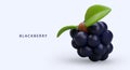 3D ripe blackberry. Vitamin natural antioxidant. Forest black edible berry