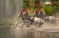 D riving competition for four-in-hand marathon in Germany Royalty Free Stock Photo