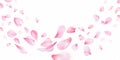 3d sakura falling petals. Realistic flying petal of blossom japanese cherry or rose flowers, panoramic wedding wallpaper Royalty Free Stock Photo