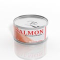 3D salmon metallic can