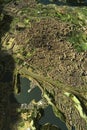 3D satellite scan model of an urban area showcasing elevation land usage and topographical layers with precise geospatial data.