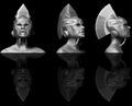 3D Sculpt Hybrid female Cyborg
