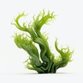 3d Seaweed: Intricate Underwater Worlds And Hyper-realistic Design