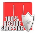 3d 100% secure shopping concept Royalty Free Stock Photo