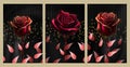 3d set of three roses on golden and black background. golden leaves branches, red floral wall art frames. Royalty Free Stock Photo