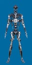 3D Shiny Metal Standing Cyborg Robot