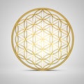 3D sign Flower Of Life gold 2 Royalty Free Stock Photo