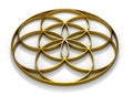 3D sign Seed of Life gold on white background 2