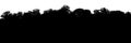 3D silhouette visualization of a coniferous forest panorama on a transparent background. Render map element for quick
