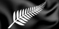 3D Silver Fern Flag, New Zealand Royalty Free Stock Photo