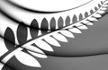 3D Silver Fern Flag, New Zealand. Royalty Free Stock Photo