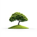 3D of a Small Tree on a Grassy Island Isolated on White Background Royalty Free Stock Photo