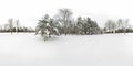 3D spherical panorama of winter forest with snow and pines with 360 degree viewing angle. Ready for virtual reality in vr. Full