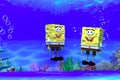 3d sponge under water reander