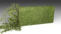 3D SPORTS word chipped out of a grass texture