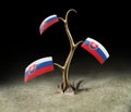 3d sprout with Slovak flag on black