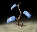 3d sprout with United Nation flag on black