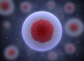 nucleolus, nucleus, 3d stem cell. Royalty Free Stock Photo