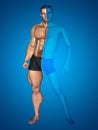 3D strong young male man bodybuilder vs underweight thin