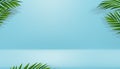 3D Studio Room Display with Coconut palm leaf and Shadow on blue wall background,Empty gallery room with podium,Vector backdrop Royalty Free Stock Photo